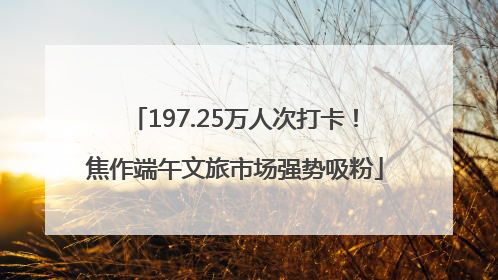 197.25万人次打卡！焦作端午文旅市场强势吸粉