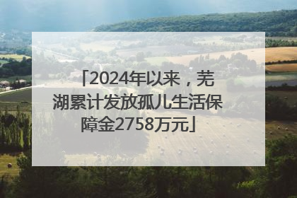 2024年以来，芜湖累计发放孤儿生活保障金2758万元