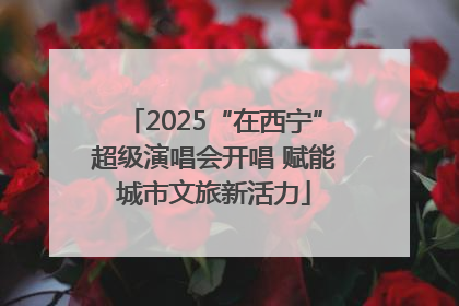 2025“在西宁”超级演唱会开唱 赋能城市文旅新活力