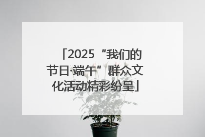 2025“我们的节日·端午”群众文化活动精彩纷呈