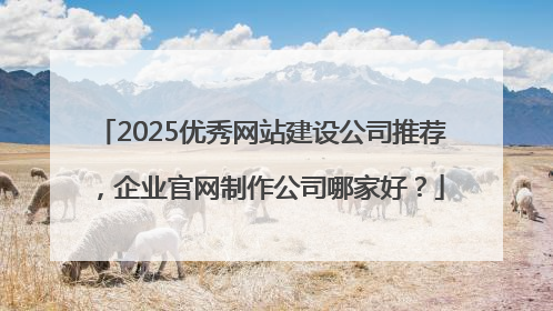 2025优秀网站建设公司推荐，企业官网制作公司哪家好？