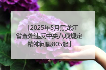 2025年5月黑龙江省查处违反中央八项规定精神问题805起
