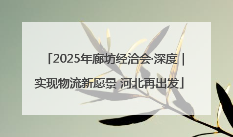 2025年廊坊经洽会·深度｜实现物流新愿景 河北再出发