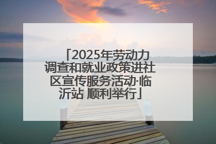 2025年劳动力调查和就业政策进社区宣传服务活动·临沂站 顺利举行