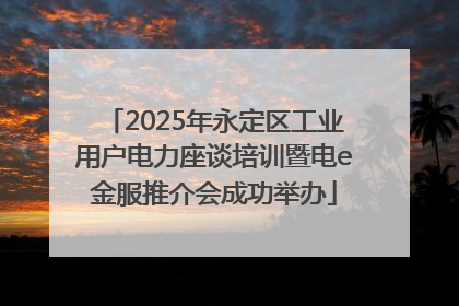 2025年永定区工业用户电力座谈培训暨电e金服推介会成功举办