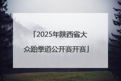 2025年陕西省大众跆拳道公开赛开赛