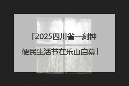 2025四川省一刻钟便民生活节在乐山启幕