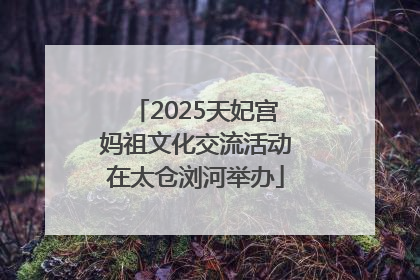 2025天妃宫妈祖文化交流活动在太仓浏河举办
