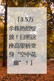 3.5万余株热烈绽放！日照这座高架桥变身“空中花廊”！