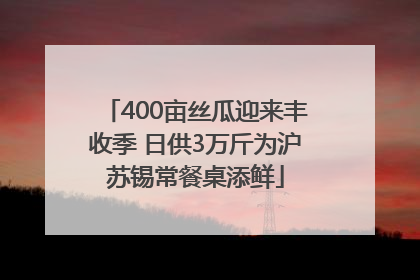 400亩丝瓜迎来丰收季 日供3万斤为沪苏锡常餐桌添鲜