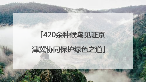420余种候鸟见证京津冀协同保护绿色之道