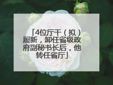 4位厅干（拟）履新，卸任省级政府副秘书长后，他转任省厅