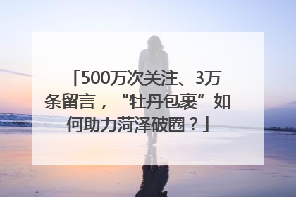 500万次关注、3万条留言，“牡丹包裹”如何助力菏泽破圈？