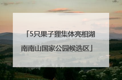 5只果子狸集体亮相湖南南山国家公园候选区