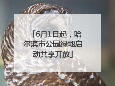 6月1日起，哈尔滨市公园绿地启动共享开放