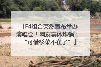 F4组合突然宣布举办演唱会！网友集体炸锅：“可惜杉菜不在了”